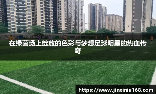在绿茵场上绽放的色彩与梦想足球明星的热血传奇